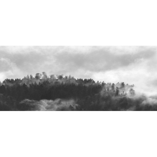Bushboard - Feature Splashback - Hazy Forest - Acrylic
